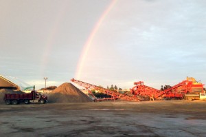 photo-yard-800